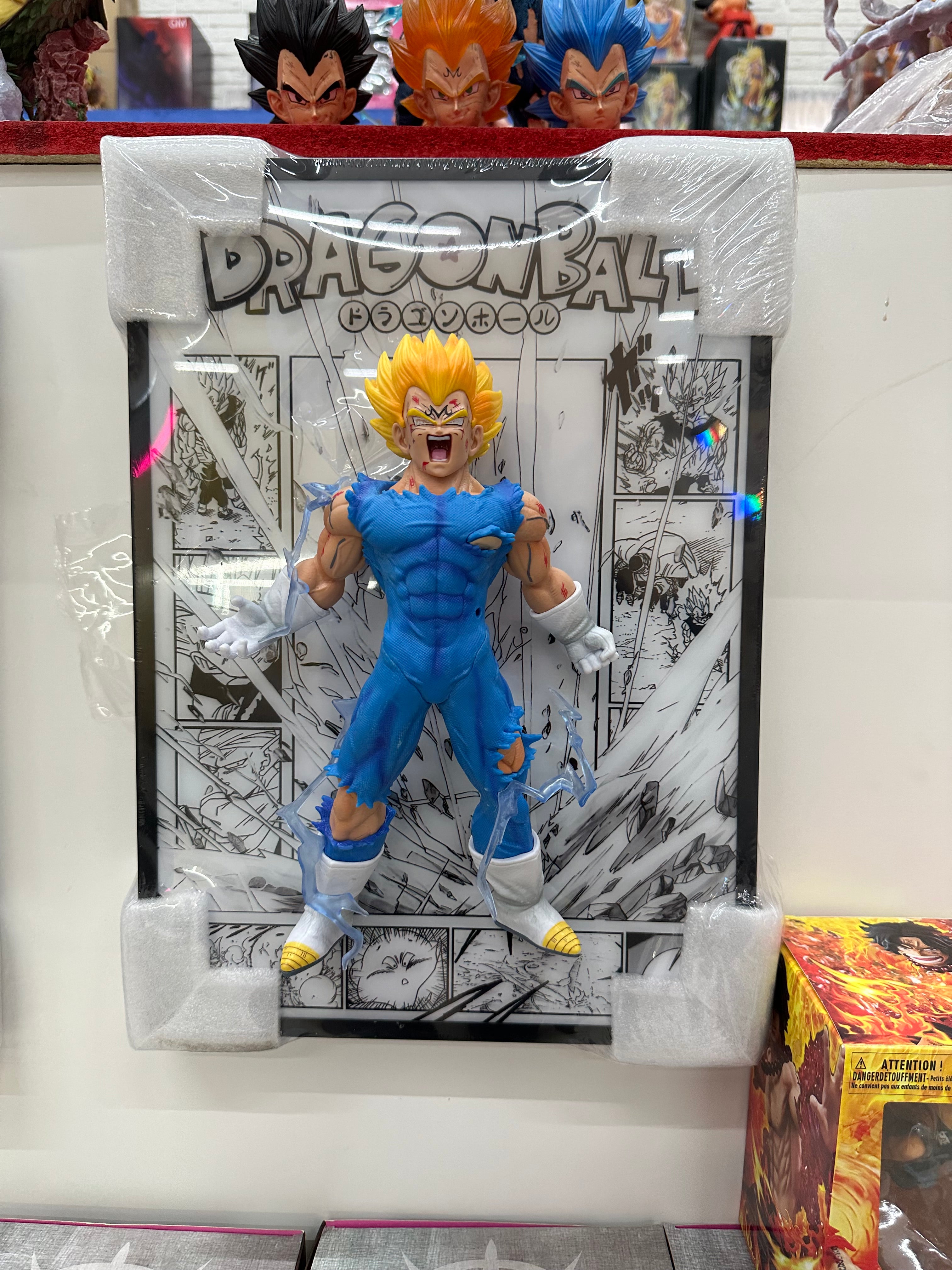 Vegeta with frame